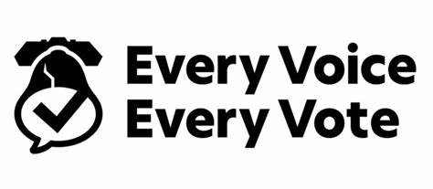 every voice every vote