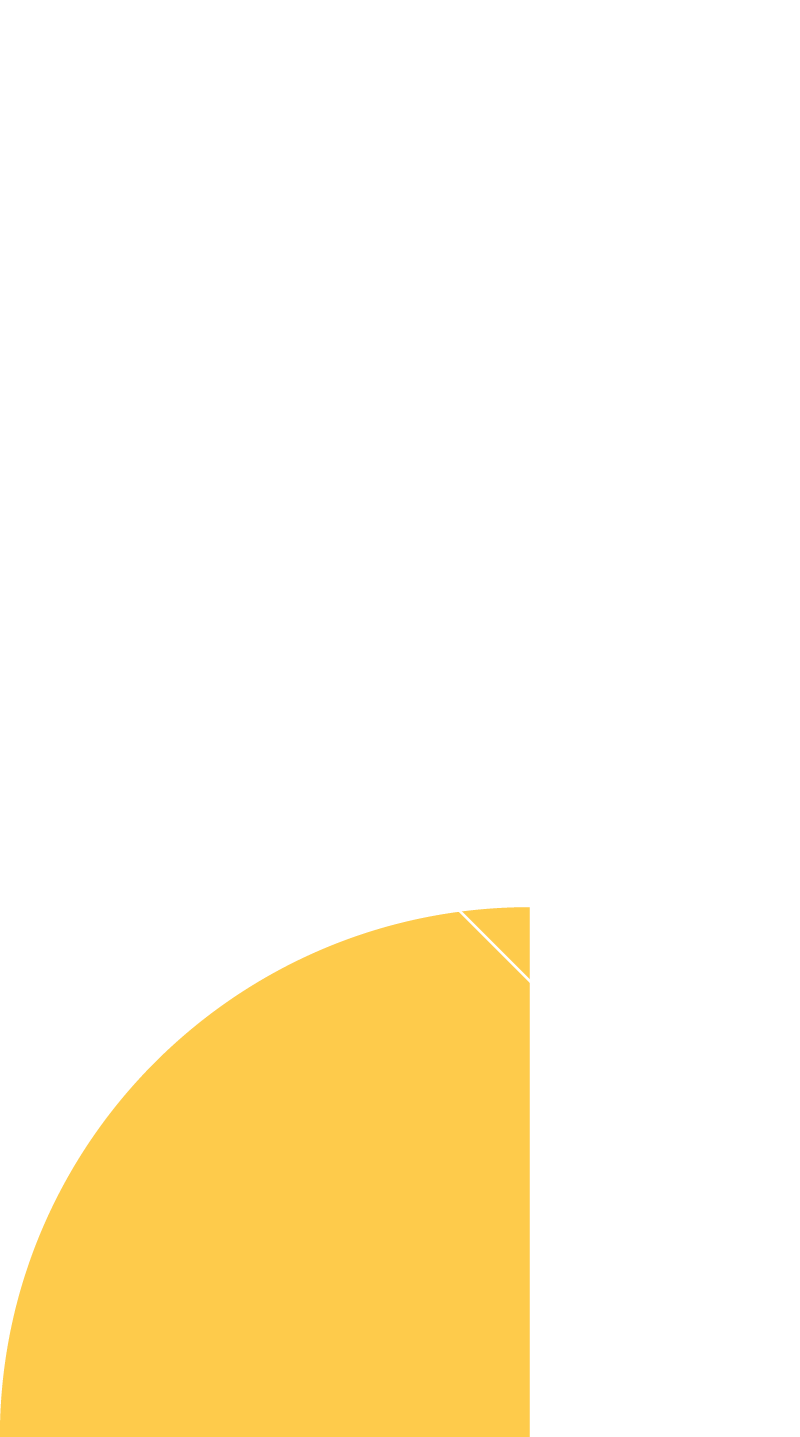 Community in Action Festival 2025 Flyer featuring images of family and people enjoying event.